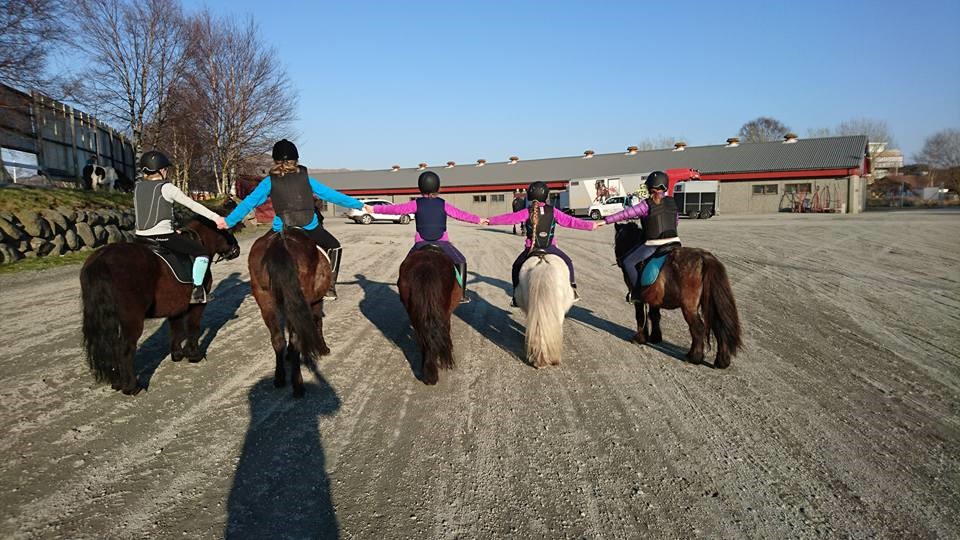 Litt fra vår Travskole